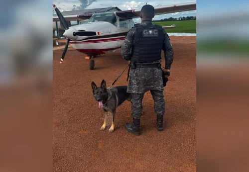 Piloto é preso e avião apreendido no TO após polícia encontrar drogas e arma