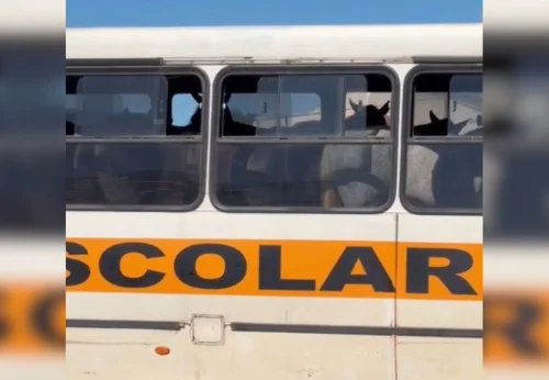 Cavalos são transportados dentro de ônibus e vídeo repercute na web