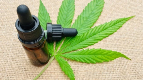 Regra libera venda da cannabis para uso bucal e dermatológico no Brasil