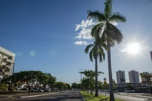 Calor em Palmas atinge 37°C com alerta de baixa umidade do INMET
