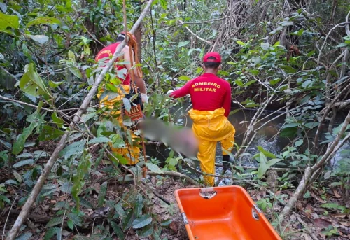 Pescadores encontram corpo em decomposição preso a galhos em rio no TO