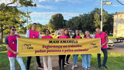 Blitz educativa do Maio Amarelo em Palmas une trânsito seguro e proteção animal no dia 13