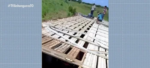 Caminhão com 86 cabeças de gado tomba na TO-222; seis animais morrem