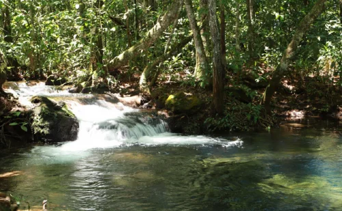 Parque Estadual do Lajeado reabre com novas trilhas e celebra 25 anos de história