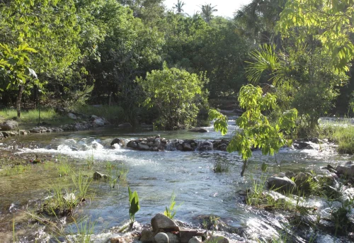 Camping no TO com águas cristalinas ganha apelido de 'Caribe do Cerrado'