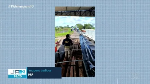 CPI dos Maus-tratos aprova relatório final com pedido de 10 indiciamentos