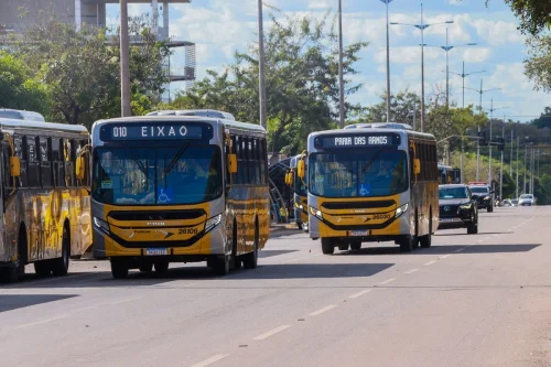 Prefeitura de Palmas abre licitação para corredor de ônibus na região sul