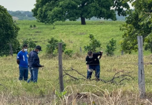 Corpo em decomposição é achado às margens da TO-336, em Guaraí