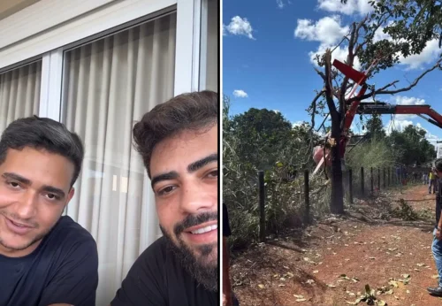 Cenipa investiga queda de helicóptero de Henrique e Juliano em fazenda no TO