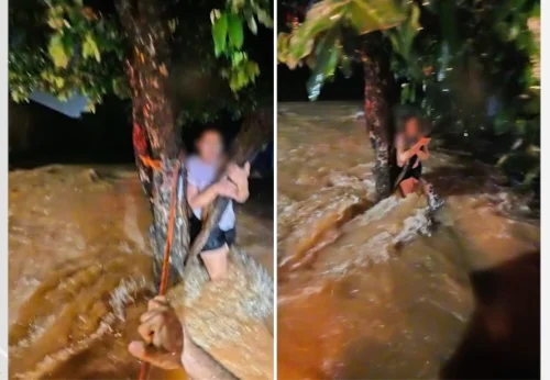 Mulher é resgatada por bombeiros após ficar ilhada em enchente no Tocantins