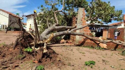 Prefeitura de Palmas decreta emergência após temporal destruir 200 casas no Taquari