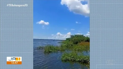 Polícia investiga morte de professor indígena e filho após naufrágio no Rio Araguaia