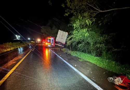 Mulher grávida e dois filhos morrem em colisão frontal com caminhão na BR-153