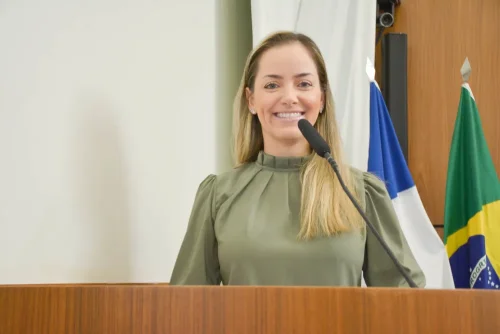 Vereadora de Palmas solicita mutirão para revitalizar faixas de pedestres